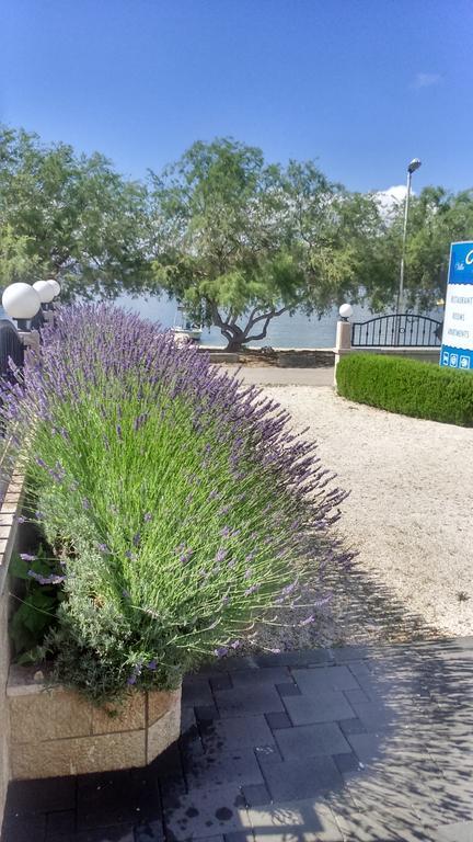 Villa Mediterana Seget Vranjica Buitenkant foto